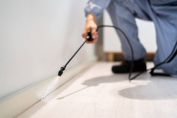 Licensed Pest Control service in Texas City, TX - Show Me Pest Control